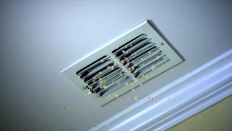 Best Affordable Duct Cleaning Services  in Rodeo, CA