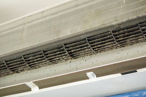Best Air Duct Cleaning Near Me in Rodeo, CA